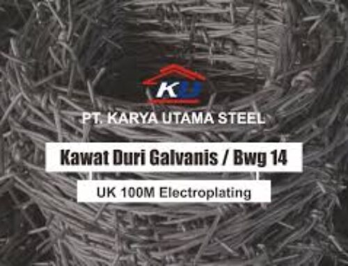 Kawat Duri BWG Galvanis : Solusi untuk Anda yang ingin Keamanan pada Lahan Anda
