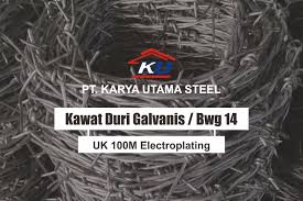 Kawat Duri BWG Galvanis : Solusi untuk Anda yang ingin Keamanan pada Lahan Anda